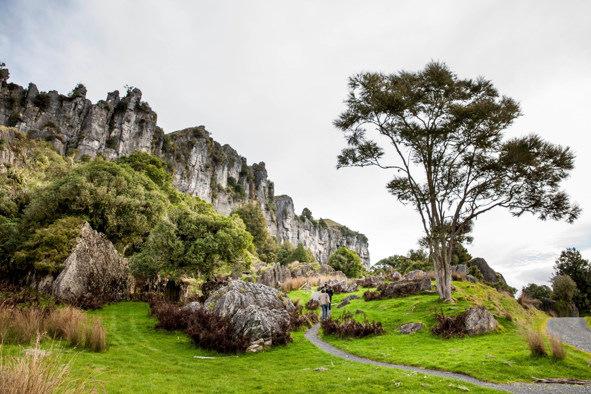 Mangaotaki Rocks in Piopio (Nordinsel) Photo Credit: Tourism New Zealand Mangaotaki Rocks in Piopio (Nordinsel) Photo Credit: Tourism New Zealand